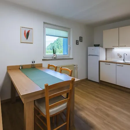 Vakantieboerderij Domacija Log V Bohinju *