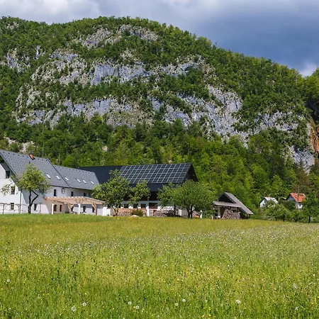 Séjour à la ferme Domacija Log V Bohinju Bohinjska Bistrica