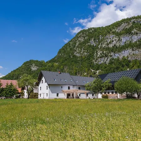 Domacija Log V Bohinju * Bohinjska Bistrica
