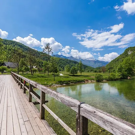 Domacija Log V Bohinju 보닌스카비스트리카