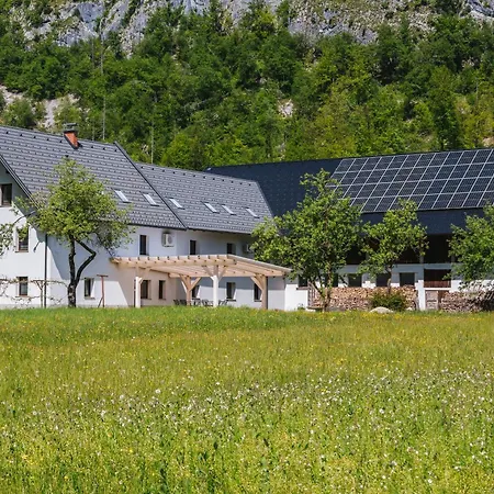 ファームステイ Domacija Log V Bohinju ボヒニュスカ・ビストリツァ