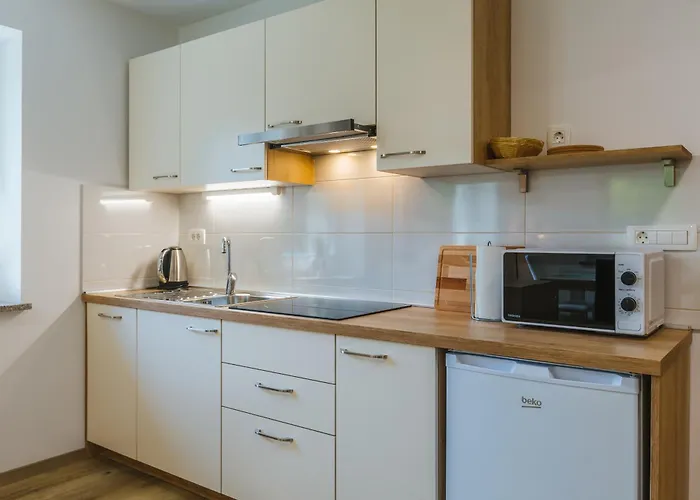 Domacija Log V Bohinju 보닌스카비스트리카