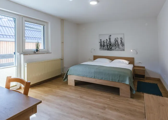 Domacija Log V Bohinju 보닌스카비스트리카