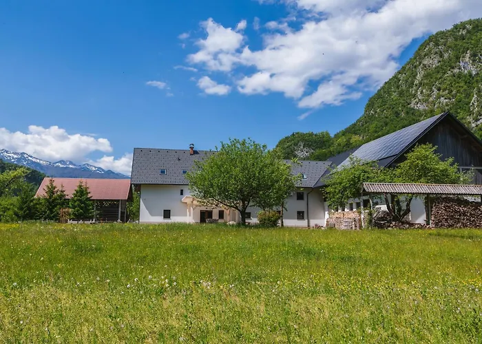 Domacija Log V Bohinju 팜스테이