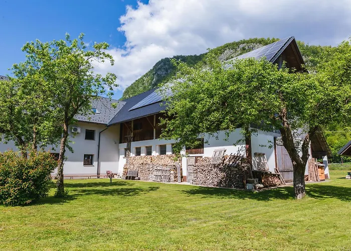 팜스테이 Domacija Log V Bohinju 보닌스카비스트리카